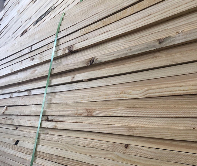 新盈镇巴西松